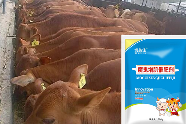 牛羊用什么催肥劑好 去油轉(zhuǎn)肌肉猛長(zhǎng)肉牛羊催肥劑廠家直銷(xiāo)