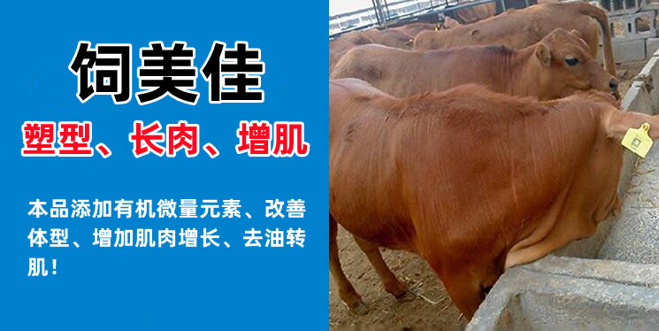 牛羊催肥飼料添加劑有哪些 增肌催肥劑廠家直銷 牛羊催肥飼料添加劑有哪些 增肌催肥劑廠家直銷