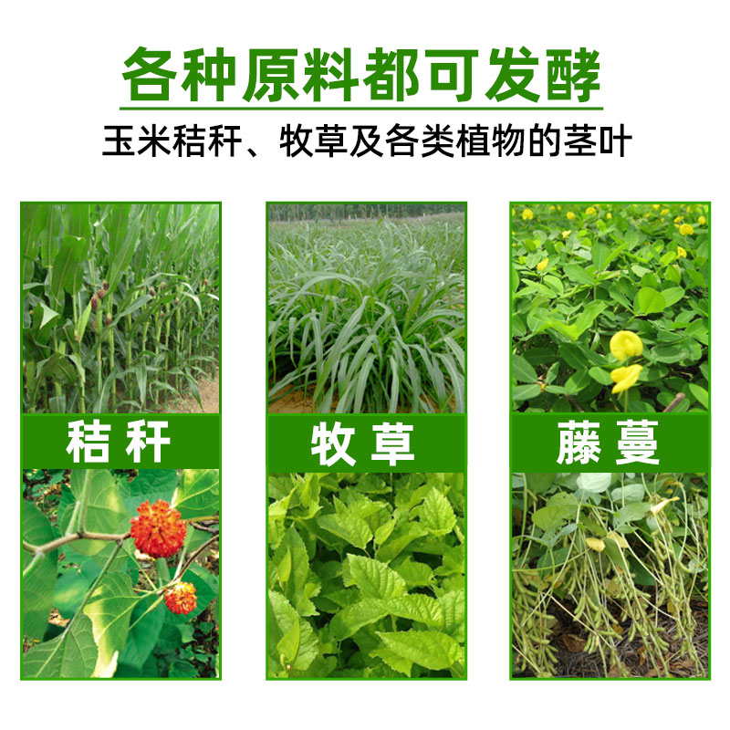 玉米秸稈發(fā)酵劑廠家直銷 快速發(fā)酵2小時 玉米秸稈發(fā)酵劑廠家直銷 快速發(fā)酵2小時