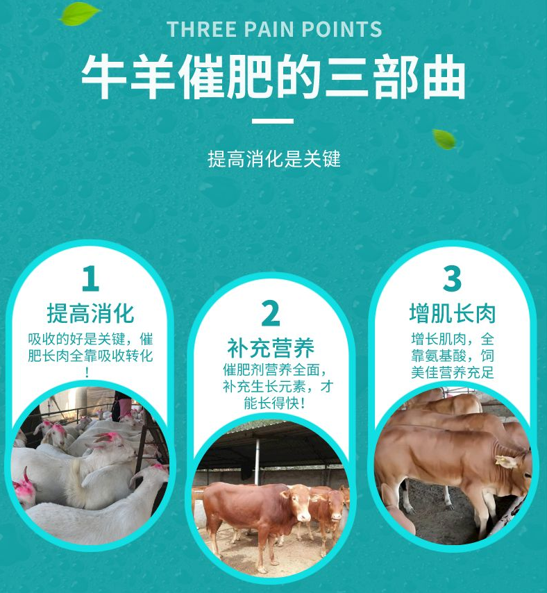 牛催肥添加劑買那種好？