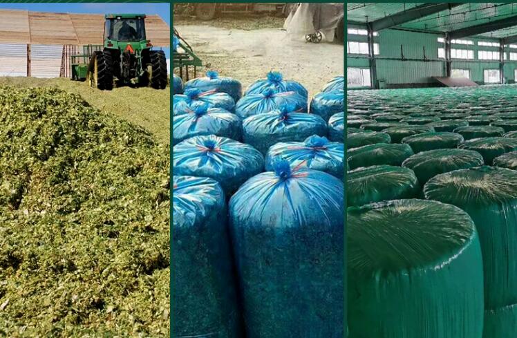 秸稈發(fā)酵飼料