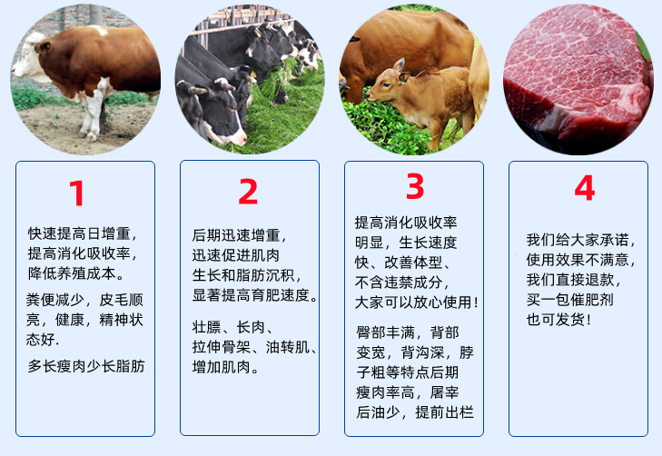 肉牛催肥劑 去油催肥轉(zhuǎn)肌 牛催肥飼料添加劑
