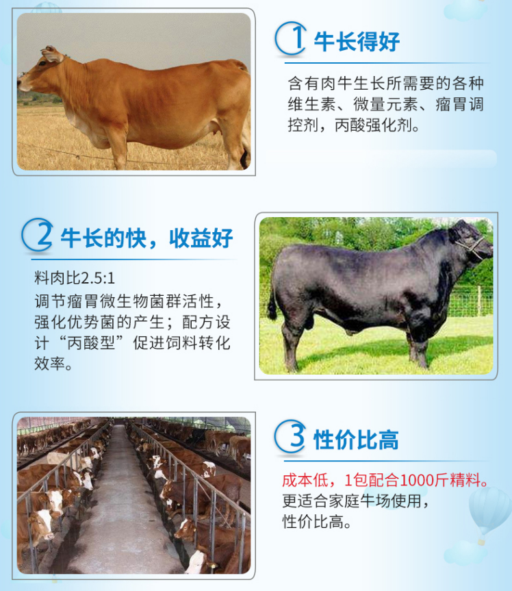 4%肉牛預(yù)混料前期用