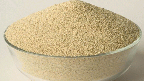 牛飼料添加劑有哪些 牛飼料添加劑有哪些