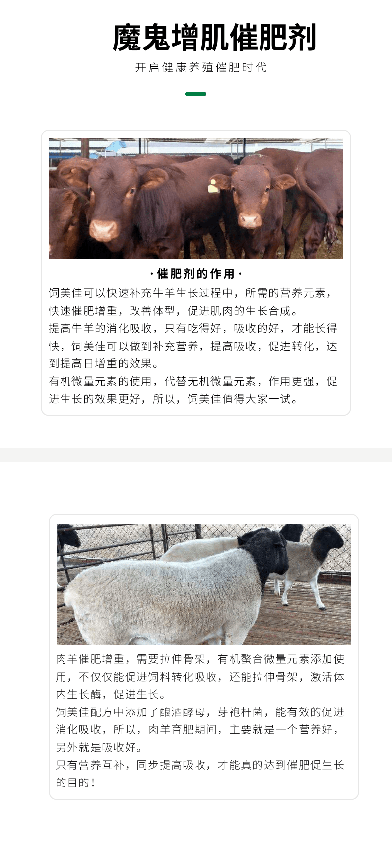 羊催肥增重劑 長骨壯鏢催肥 廠家直發(fā)