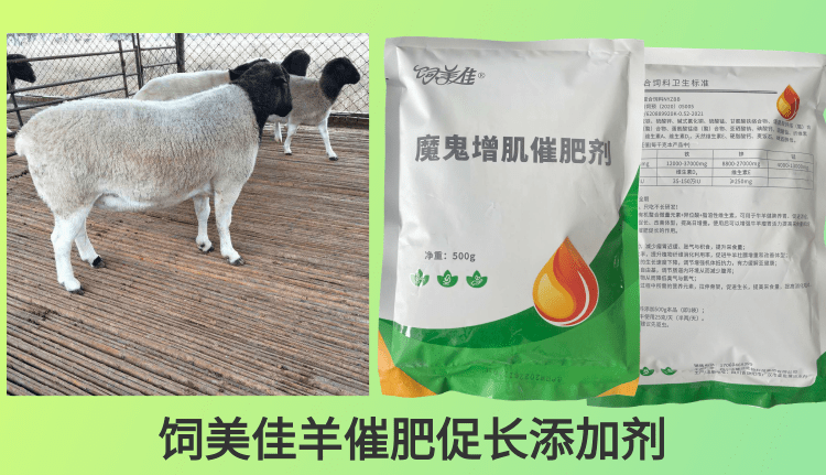 羊促生長添加劑添加量是多少 羊促生長添加劑添加量是多少