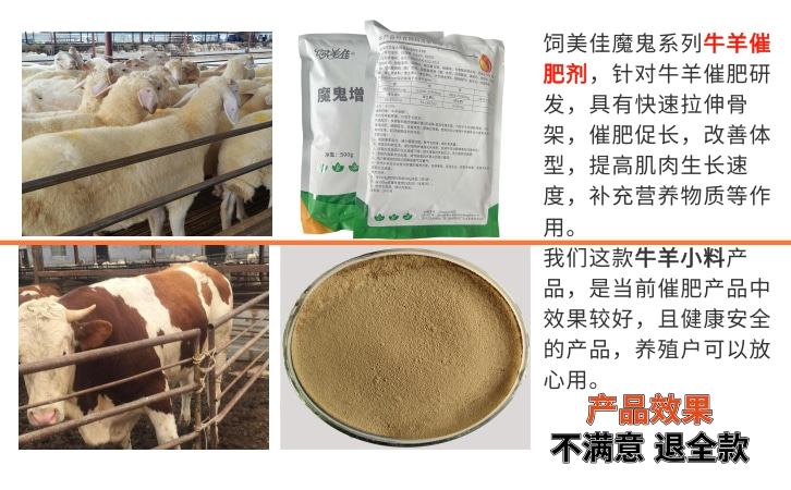 牛羊需要氨基酸么 牛羊需要氨基酸么