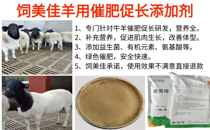 肉牛后期催肥添加劑有哪些 肉牛后期催肥添加劑有哪些