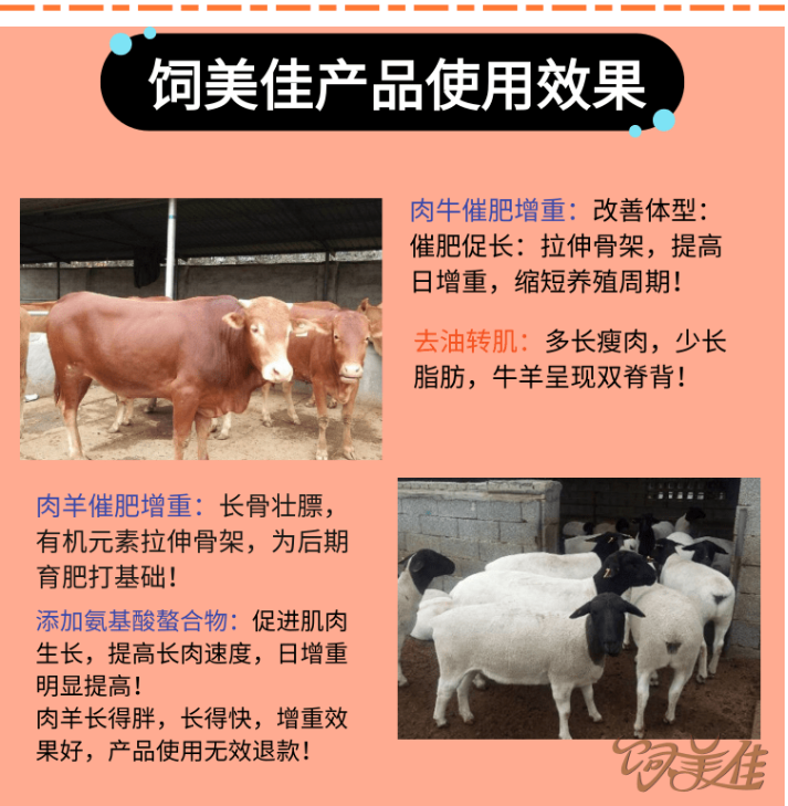 飼美佳魔鬼催肥劑